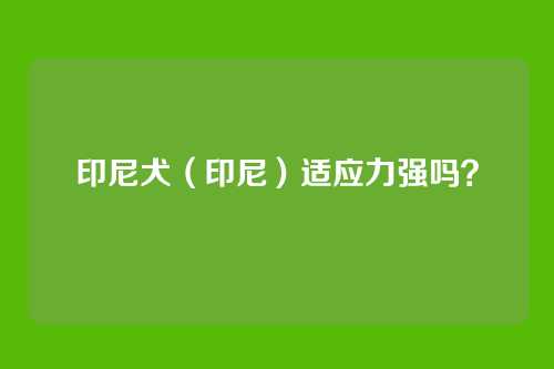 印尼犬(印尼)适应力强吗?