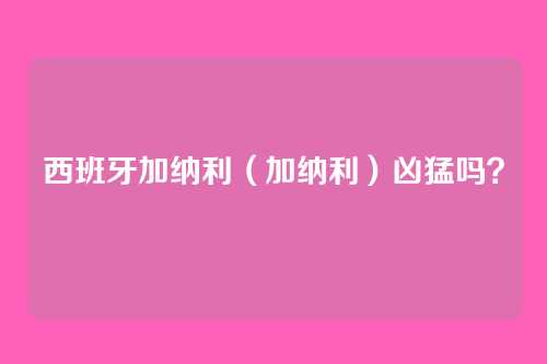 西班牙加纳利（加纳利）凶猛吗？