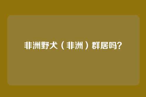 非洲野犬(非洲)群居吗?