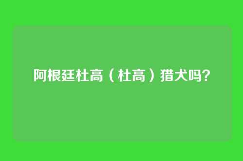 阿根廷杜高（杜高）猎犬吗？