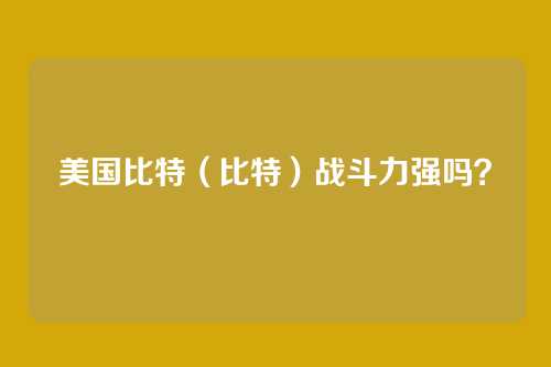 美国比特(比特)战斗力强吗?