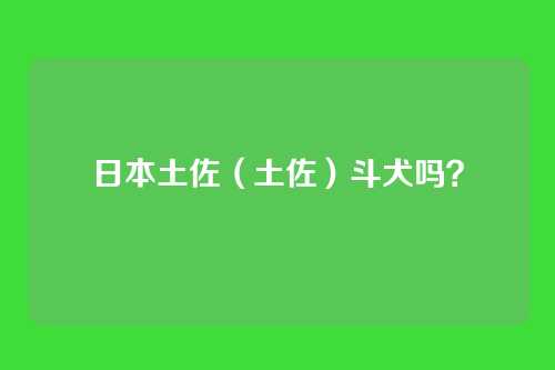 日本土佐(土佐)斗犬吗?