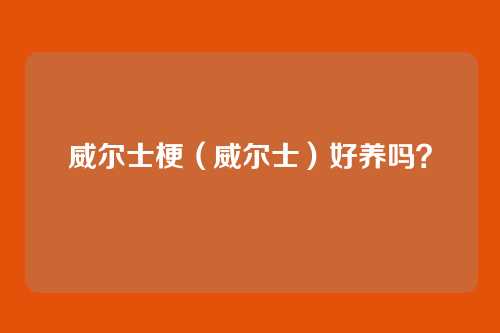 威尔士梗(威尔士)好养吗?
