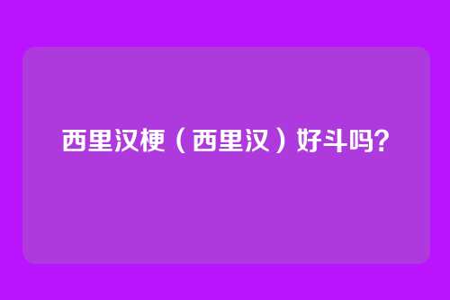 西里汉梗(西里汉)好斗吗?