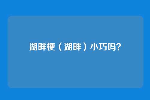 湖畔梗(湖畔)小巧吗?