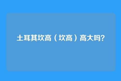 土耳其坎高（坎高）高大吗？