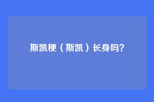 斯凯梗(斯凯)长身吗?