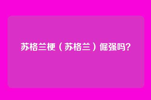 苏格兰梗（苏格兰）倔强吗？
