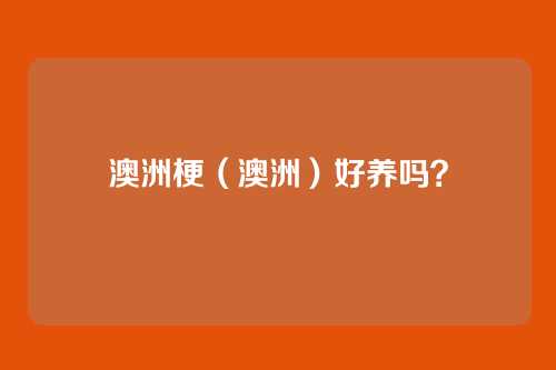 澳洲梗（澳洲）好养吗？