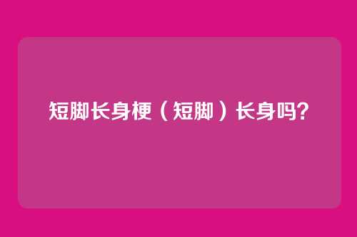 短脚长身梗(短脚)长身吗?