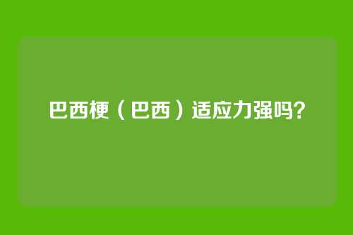 巴西梗（巴西）适应力强吗？
