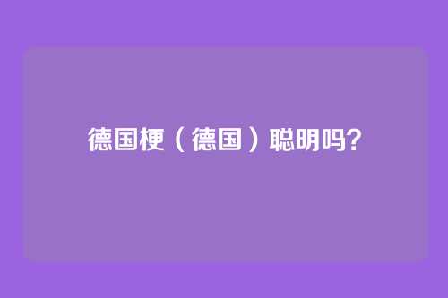 德国梗（德国）聪明吗？
