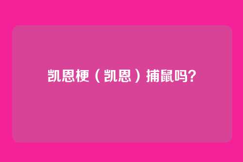 凯恩梗（凯恩）捕鼠吗？