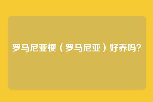 罗马尼亚梗（罗马尼亚）好养吗？