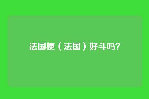法国梗(法国)好斗吗?