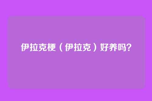 伊拉克梗(伊拉克)好养吗?