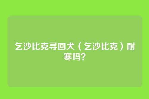 乞沙比克寻回犬（乞沙比克）耐寒吗？
