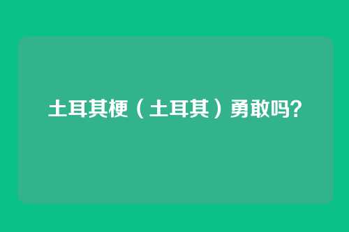 土耳其梗（土耳其）勇敢吗？