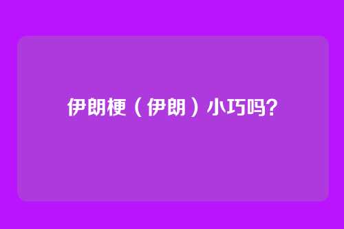 伊朗梗(伊朗)小巧吗?