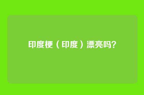 印度梗（印度）漂亮吗？