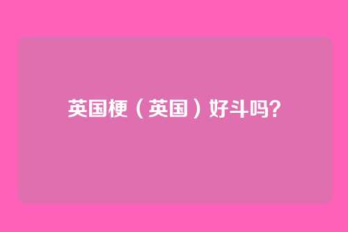 英国梗（英国）好斗吗？