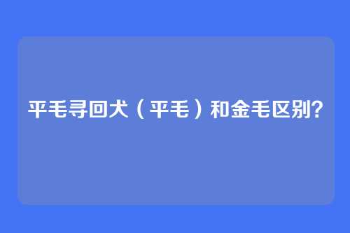平毛寻回犬(平毛)和金毛区别?