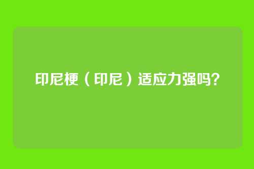 印尼梗(印尼)适应力强吗?