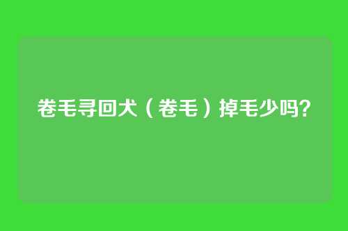 卷毛寻回犬(卷毛)掉毛少吗?