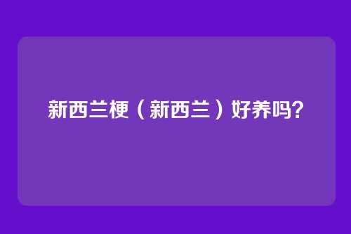 新西兰梗(新西兰)好养吗?