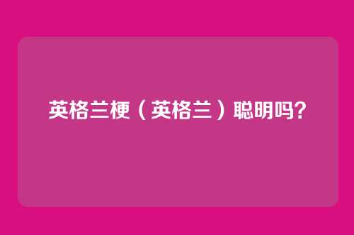 英格兰梗(英格兰)聪明吗?