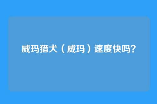 威玛猎犬（威玛）速度快吗？