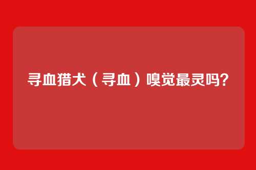 寻血猎犬(寻血)嗅觉最灵吗?