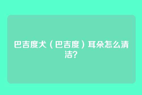 巴吉度犬(巴吉度)耳朵怎么清洁?