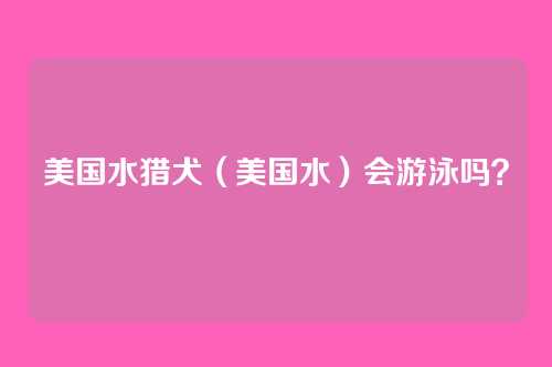 美国水猎犬（美国水）会游泳吗？