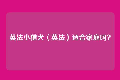 英法小猎犬(英法)适合家庭吗?