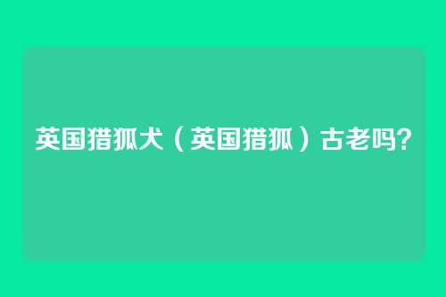英国猎狐犬（英国猎狐）古老吗？