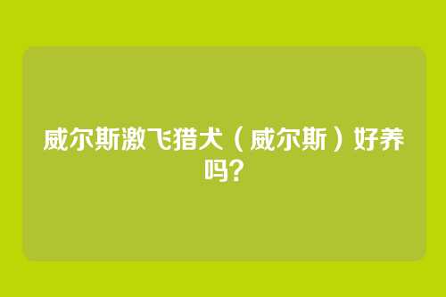 威尔斯激飞猎犬(威尔斯)好养吗?