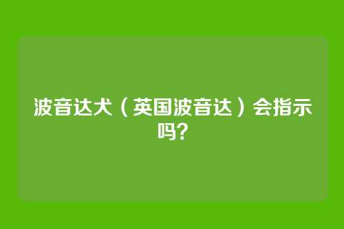波音达犬(英国波音达)会指示吗?