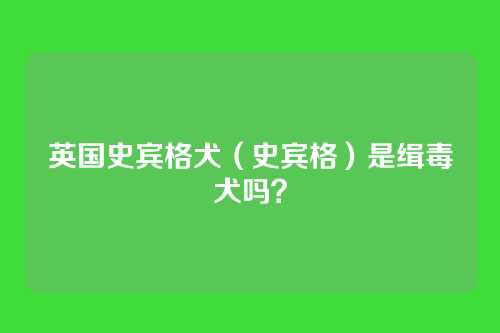 英国史宾格犬(史宾格)是缉毒犬吗?