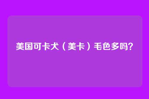 美国可卡犬（美卡）毛色多吗？