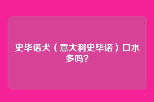 史毕诺犬(意大利史毕诺)口水多吗?