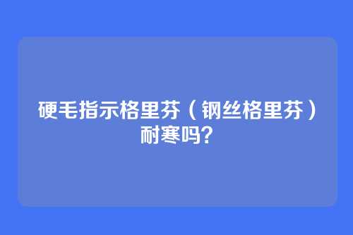 硬毛指示格里芬（钢丝格里芬）耐寒吗？