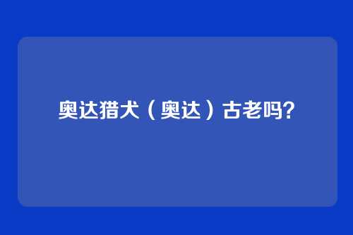 奥达猎犬（奥达）古老吗？