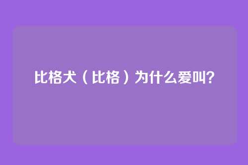 比格犬(比格)为什么爱叫?