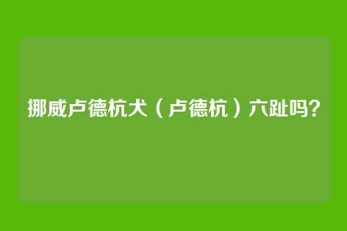 挪威卢德杭犬(卢德杭)六趾吗?