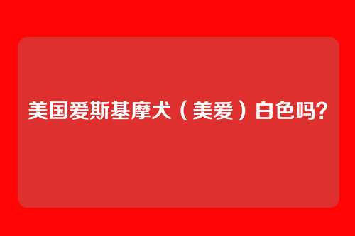 美国爱斯基摩犬(美爱)白色吗?