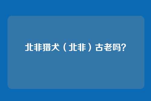 北非猎犬(北非)古老吗?