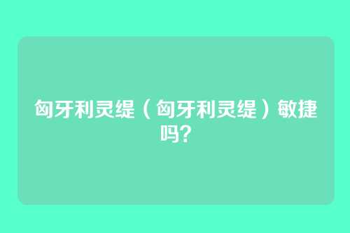 匈牙利灵缇(匈牙利灵缇)敏捷吗?