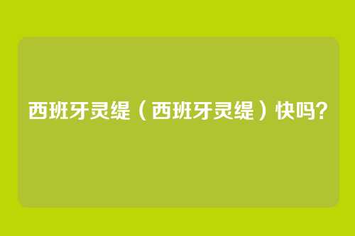 西班牙灵缇(西班牙灵缇)快吗?