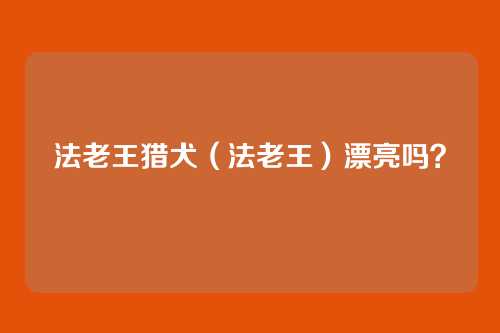 法老王猎犬（法老王）漂亮吗？